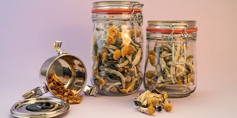 Storing Magic Mushrooms in the UK: Best Practices
